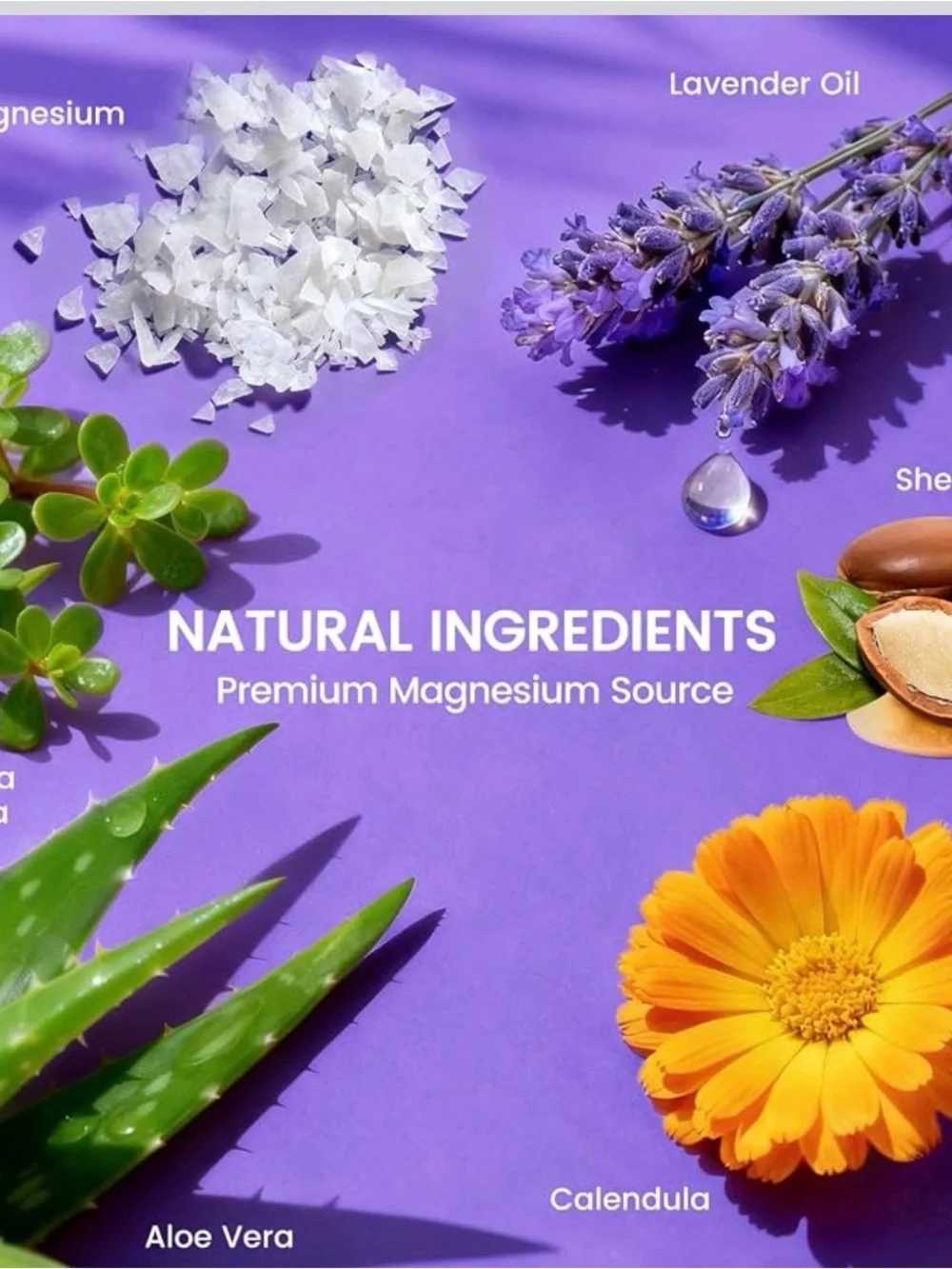 Quelis Magnesium Cream — Lavender Relief (Purple & White Packaging)